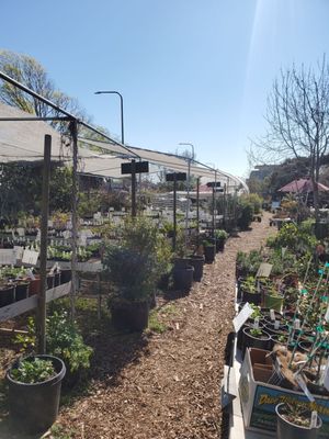 Spiral Gardens by null