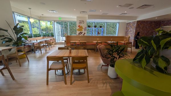 Daffodil Cafe by null