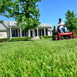 Neighborly Lawn Care - Professional Lawn Care