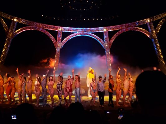 "O" by Cirque du Soleil by null