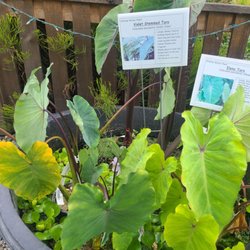 Valley Nursery