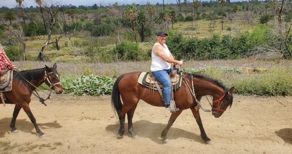 S&D Horseback Riding by null
