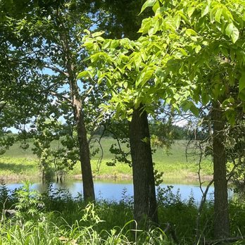 Shaw Nature Reserve - I think this is Mirror Lake - Botanical Gardens Near Me - Gray Summit, Missouri
