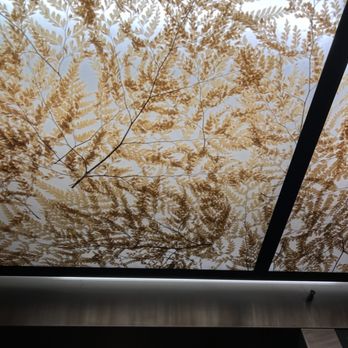 Andrei's Restaurant - Ceiling in elevator has leaves - New American Near Me - Irvine, California Andrei's Restaurant - Ceiling in elevator has leaves - New American Near Me - Irvine, California