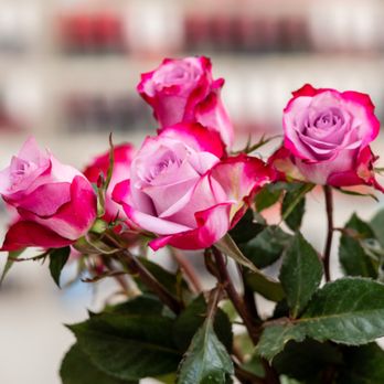 Allure Day Spa - Nail Salons Near Me - Willowbrook, Illinois