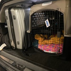 Hall Utah Transportation - Winnie and all the luggage arrived safely!
