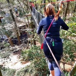 Crossing through the canopy