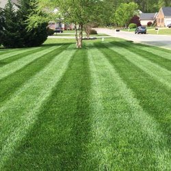 Marshall's Lawn & Landscape