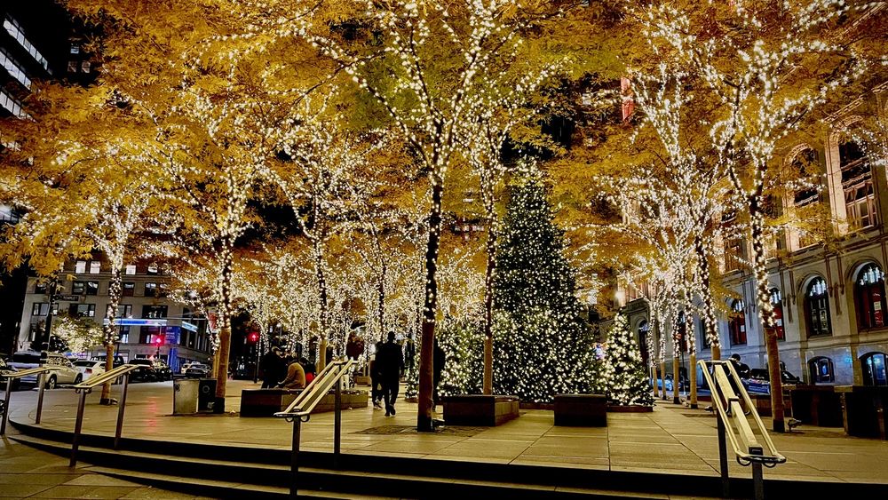 Zuccotti Park Image