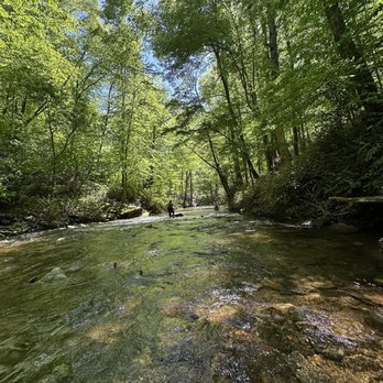 Looking Glass Falls - Hiking Near Me - Brevard, North Carolina