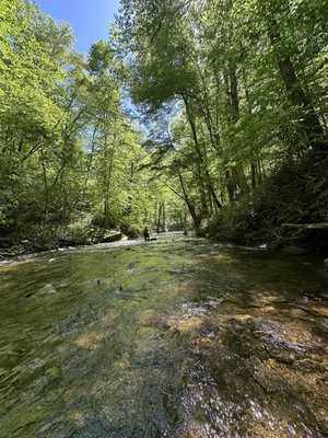 Looking Glass Falls by null