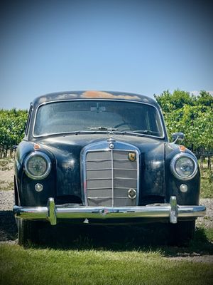 Restoration Vineyards by null