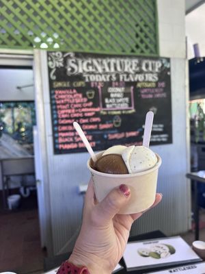 Daintree Ice Cream Company by null