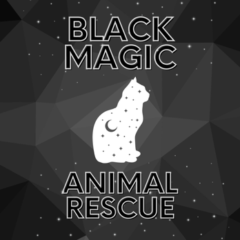 Black Magic Animal Rescue - Pet Adoption Near Me - Casa Grande, Arizona Black Magic Animal Rescue - Pet Adoption Near Me - Casa Grande, Arizona