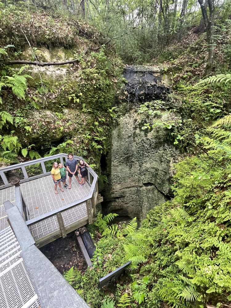 Falling Waters State Park Image
