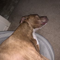 He was so uncomfortable he didn't even want to move