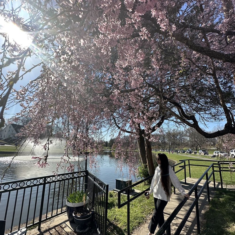 Boathouse Cafe - Ambience - Cafes Near Me - Passaic, New Jersey