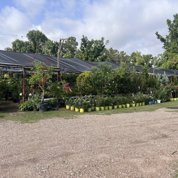Natius Nursery - Home & Garden Near Me - Kingwood, Texas Natius Nursery - Home & Garden Near Me - Kingwood, Texas