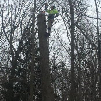 Maher Tree Service - Tree Services Near Me - Yoder, Indiana