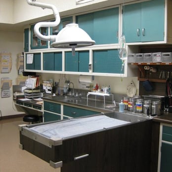 Merced Veterinary Clinic - Veterinarians Near Me - Merced, California