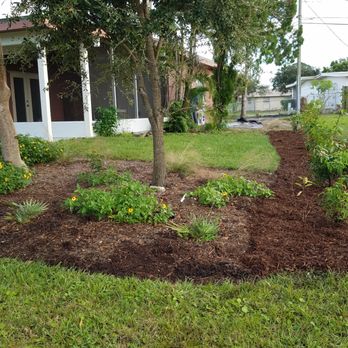 Native Butterfly Flowers - Less lawn equals more habitat - Landscaping Near Me - West Melbourne, Florida