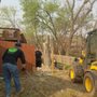 Photo of Wildcat Tree Service