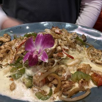 Cataleya Cantina - Mexican Near Me - Knoxville, Tennessee Cataleya Cantina - Mexican Near Me - Knoxville, Tennessee