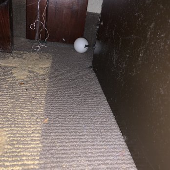 DoubleTree by Hilton - Under our bed... - Hotels Near Me - Orlando, Florida DoubleTree by Hilton - Under our bed... - Hotels Near Me - Orlando, Florida