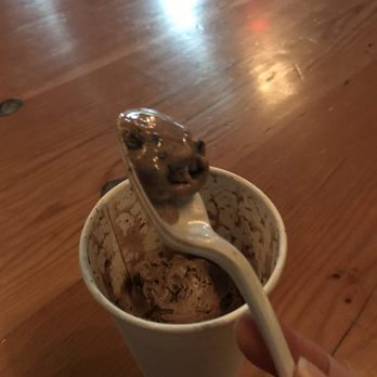 -320° Coffee & Creamery - Coffee & Tea Near Me - Detroit, Michigan