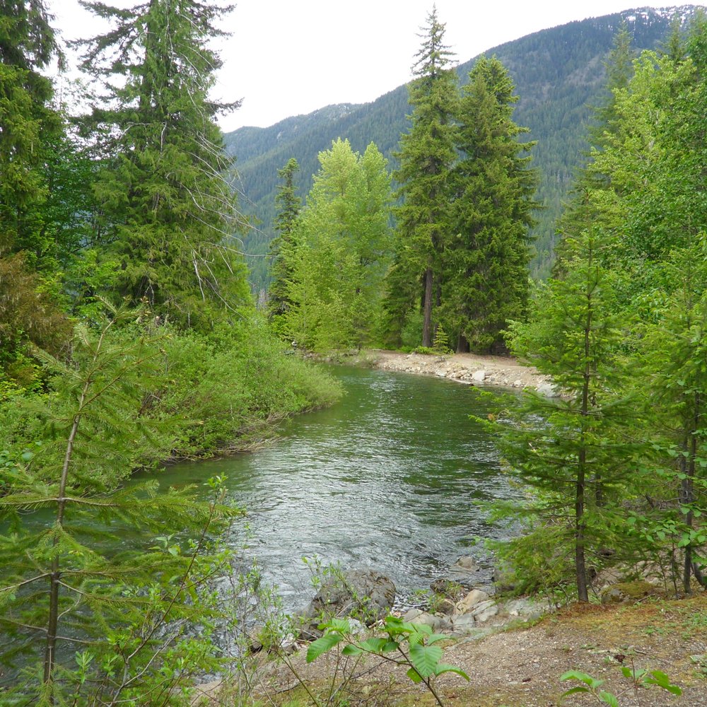 Lake Kachess Campground - view off of Little Kachess trail June 25th, 2011 - Campgrounds Near Me - Easton, Washington Lake Kachess Campground - view off of Little Kachess trail June 25th, 2011 - Campgrounds Near Me - Easton, Washington