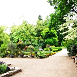 bunter garten - Botanischer Garten. Juni 2011