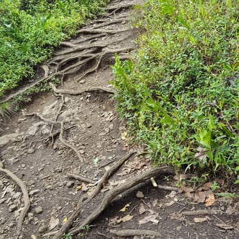 Pipiwai Trail - Hiking trai - Hiking Near Me - Hana,, Hawaii