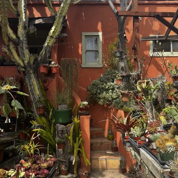 Solana Succulents - Nurseries & Gardening Near Me - Solana Beach, California