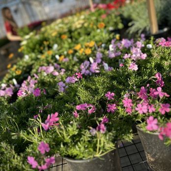Green Acres Nursery & Supply - Nurseries & Gardening Near Me - Irving, Texas