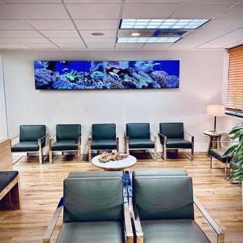 Ceda Orthopedic Group - Ceda Orthopedic lobby - Orthopedists Near Me - Miami, Florida Ceda Orthopedic Group - Ceda Orthopedic lobby - Orthopedists Near Me - Miami, Florida