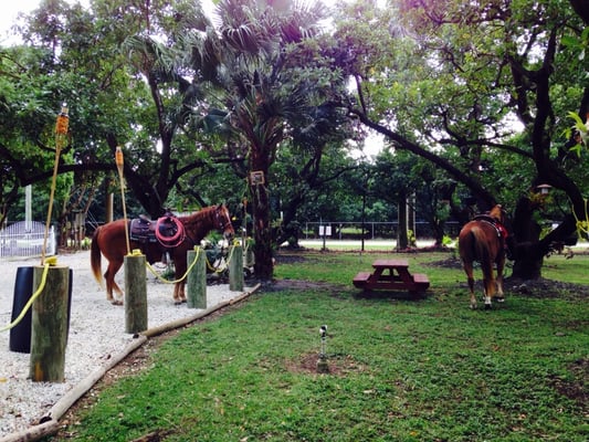 Redland Ranch by null