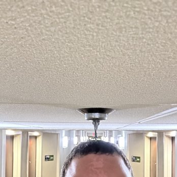 Hampton Inn Sumter - Ceilings are so low that I hit the sprinklers. - Hotels Near Me - Sumter, South Carolina