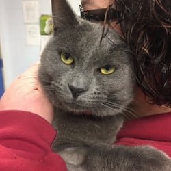 First State Animal Center and SPCA - Loving this baby boy up and taking him home