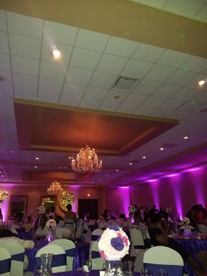 Crystal Gardens by null