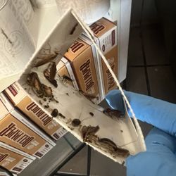 Jimmy John's - There sibilings