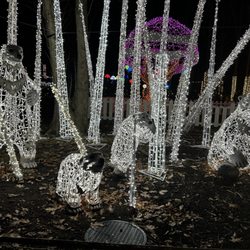 Anne Ellen Christmas Tree Farm - Light display