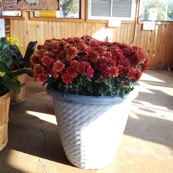 Doug's Place - Southern Near Me - Emerson, Georgia