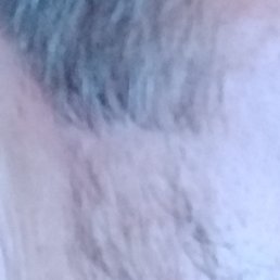 Here's how they treat beards: They RUIN them Here's how they treat beards: They RUIN them