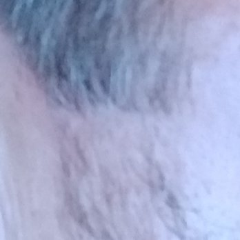 Fashion Cuts - Here's how they treat beards: They RUIN them - Hair Salons Near Me - San Jose, California Fashion Cuts - Here's how they treat beards: They RUIN them - Hair Salons Near Me - San Jose, California