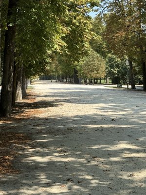 Parco Ducale by null