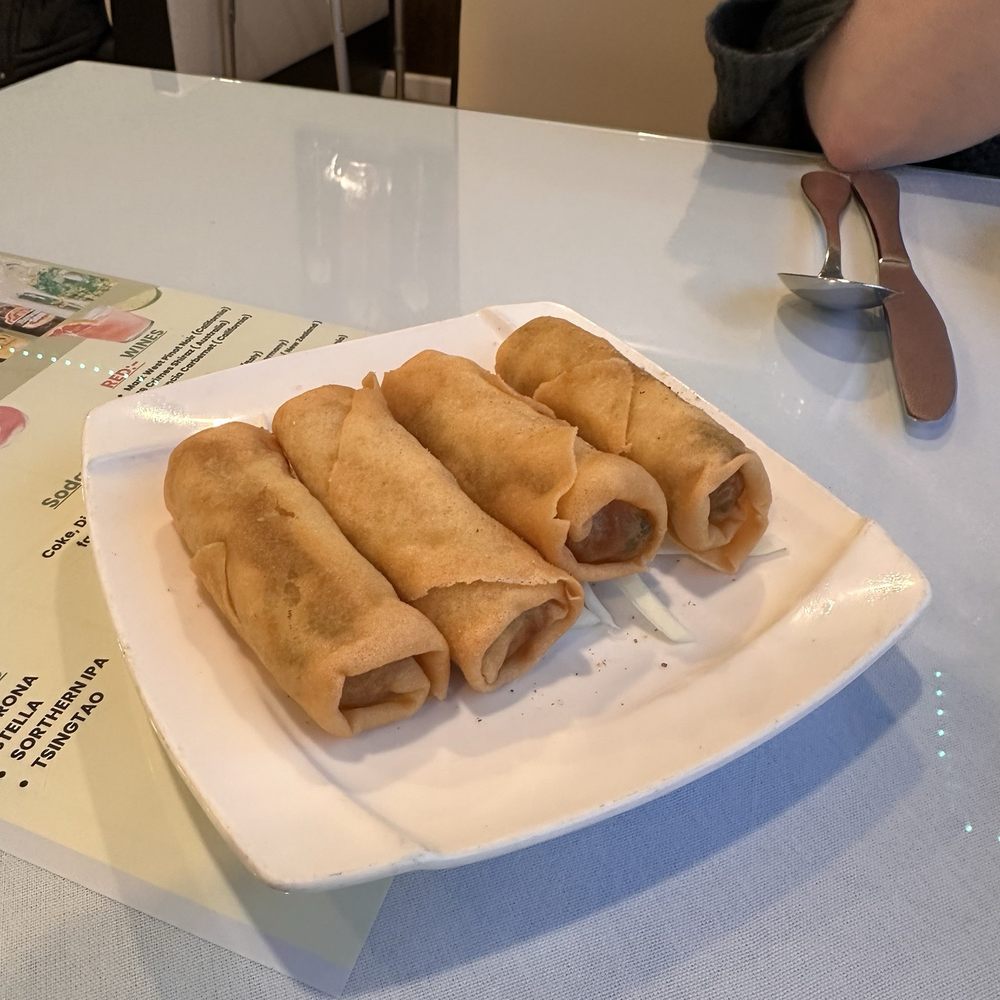 Dosa Grill - Spring roles - Indian Near Me - Vestal, New York Dosa Grill - Spring roles - Indian Near Me - Vestal, New York