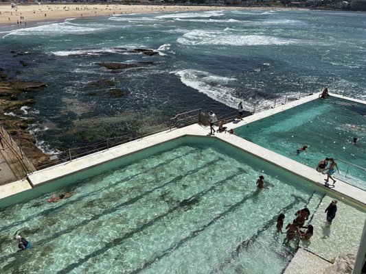 Bondi Icebergs Swimming CLUB by null