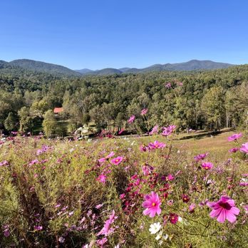 Roo Mountain Vineyards - View - Wineries Near Me - Ellijay, Georgia Roo Mountain Vineyards - View - Wineries Near Me - Ellijay, Georgia