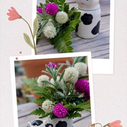 Holy Nativity Thrift Shop - Salt & pepper set of ceramic cows from my favorite thrift shop serve as cute vases for homegrown flowers.
