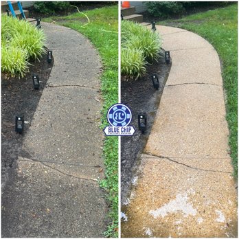Blue Chip Pressure Washing - Before and after pics they sent of the front pathway. - Gutter Services Near Me Blue Chip Pressure Washing - Before and after pics they sent of the front pathway. - Gutter Services Near Me
